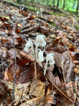 IMG_0055