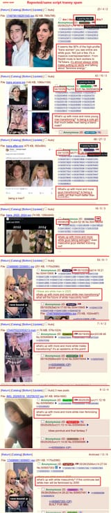 more white men trans transitioning