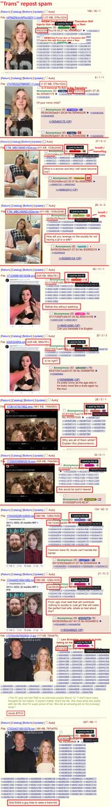 Trans reposts memeflag