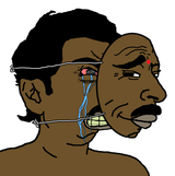 X84