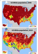 white pop
