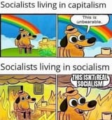 1750961516018889
