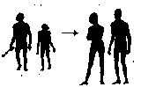 Berman2