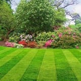 bdd992b5c21413b2fe5db7ec663612c5--landscaping-plants-landscaping-ideas-2118814912