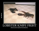 lobsterknifefight