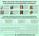 herbal jew 2