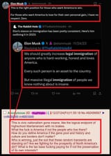 Elon_Musk_Mass_Immigration