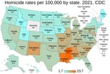 Homicide_rates_per_100,000_by_state._CDC._US_map.svg