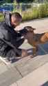 I still can’t believe it. And I think she can’t either. 30-06-2025 Ukrainian border guard Denys recently returned from Russian captivity HD reunited, dog Jilly_thumb.jpg