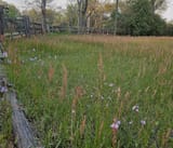 20240519_221918(1)