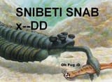 sanbd