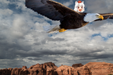 awoo riding in on an eagle