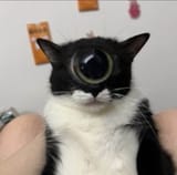 1752069361543191