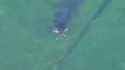Su35_jet_burning_thumb.jpg