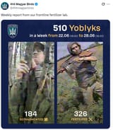 magyar yoblyks