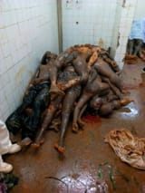 dead nigger storage 2