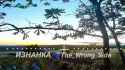 Fiber optic drone ambushes Bohdana SPG_thumb.jpg
