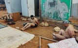 231103-palestinian-abuse-allegations-mn-1325-379f92