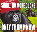 1458157402953