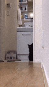 cat-big-eyes