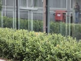 IMG_20250701_205453_462