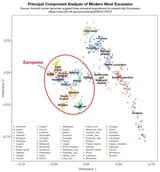 interbreeding with other races means that strangers on the street from your own race are more related to you than your child