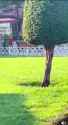 VID_20250527_093358_484_thumb.jpg
