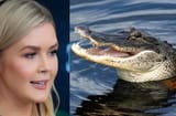 alligator solution for migrants