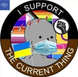 I_support_the_current_thing_NPC