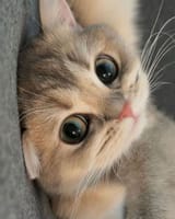 Tumblr_l_116779611851804