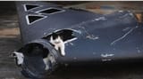 Death Cat