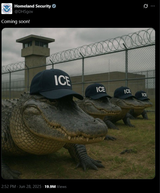 alligator_alcatraz