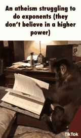 monkey-atheism