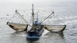 trawling-boat-589007388