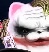 jokerbear