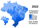 1600px-Brazil_White_Alone_in_2022.svg