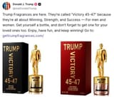 Trump fragrance