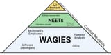 NEET pyramid