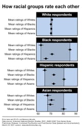 how-groups-view-each-other-mean-rating
