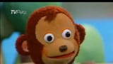 monkey