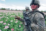 Israeli_Foreign_Legion_War_on_Drugs