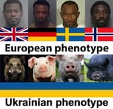 (((Traditional)))Europeans