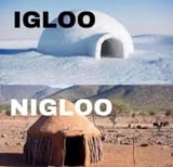 Nigloo