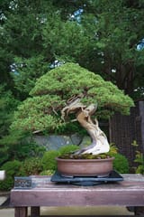 s-tsuchiya--Im_38YJBh4-unsplash
