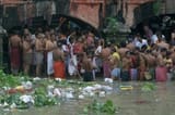 Ganges Poo