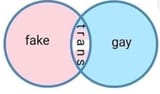 Fake and gay