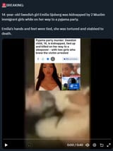 swedish_multiculturalism4