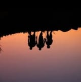 IMG_5513