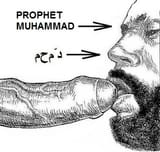 prophet16