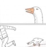 Goose-Chase-thumbnail-url-6l39r2
